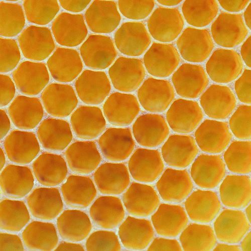 Není vosk jako vosk – emulgační vosk včelím nenahradíš