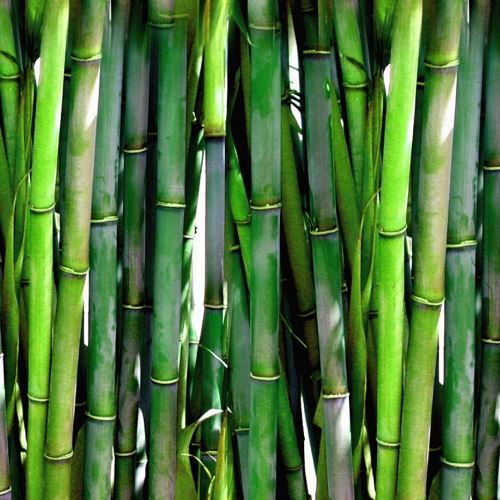 Bambusový jemný prášek na obličej